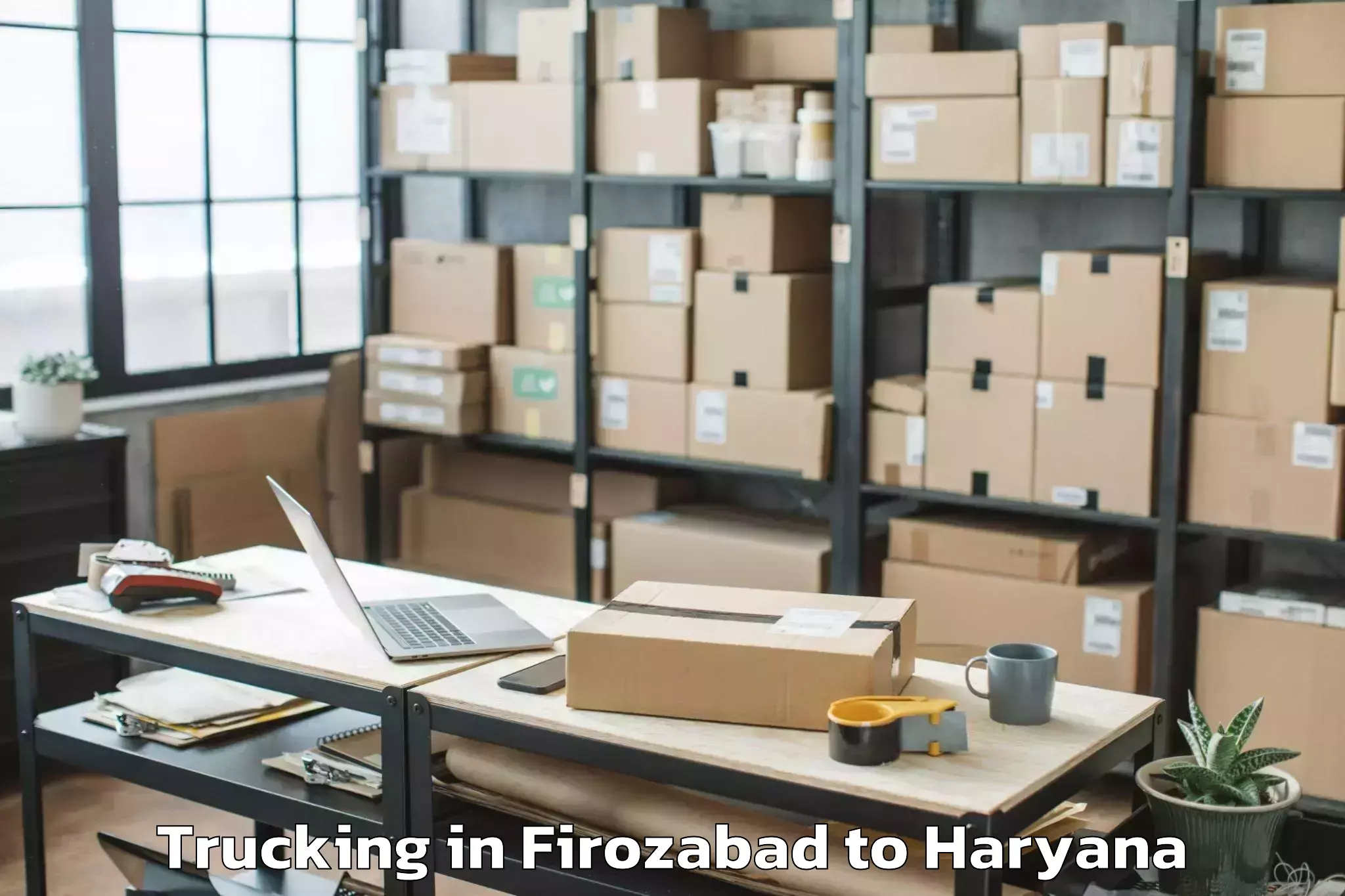 Book Firozabad to Sarhol Trucking Online